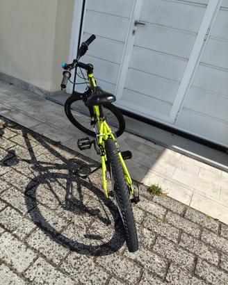 Bici bimbo 24