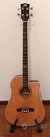 Basso Acustico Eko NXT B100