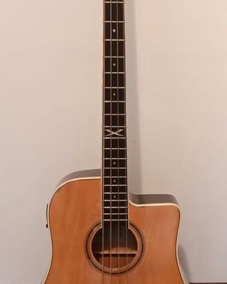 Basso Acustico Eko NXT B100