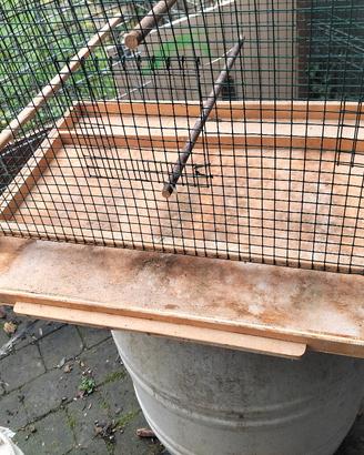 gabbia per pappagalli _coccorite_canarini