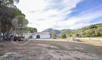 Capannone Industriale Olbia [cod. rif5975648VCG]