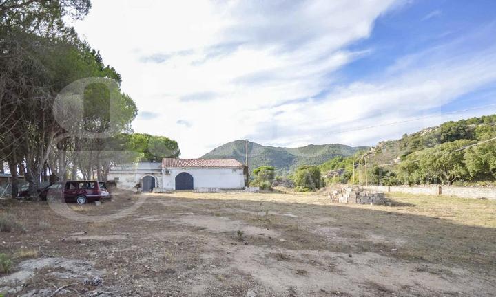 Capannone Industriale Olbia [cod. rif5975648VCG]