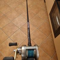 canna da pesca per predatori con mulinello 