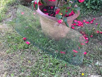 Parabrezza originale Fiat 600 anno 1957