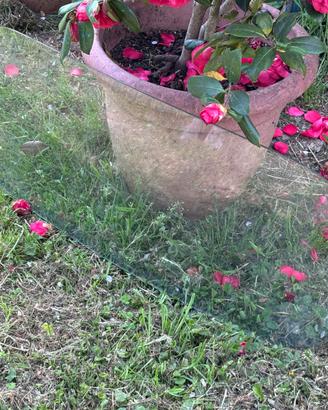 Parabrezza originale Fiat 600 anno 1957