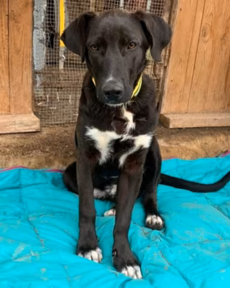 Lucky quasi 2anni salito 15mesi fa.MILANO