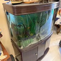Acquario