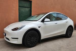 Model Y dual motor AWD Long range