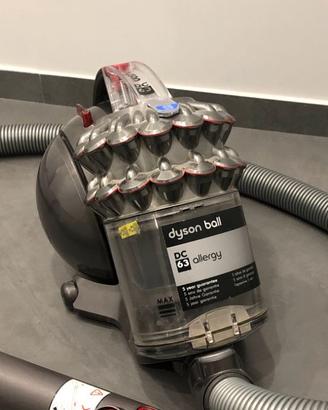 Dyson ball aspirapolvere DC 63 allergy