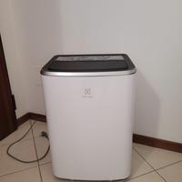 climatizzatore portatile electrolux