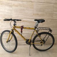 Bicicletta MTB Martini 26” con portapacchi – funzi