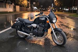 Triumph legend 900