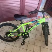 Bici mountain bike bambino 20 pollici