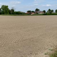 Terreno Agricolo con Rustico