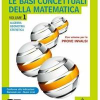 LE  BASI  CONCETTUALI  DELLA  MATEMATICA   1