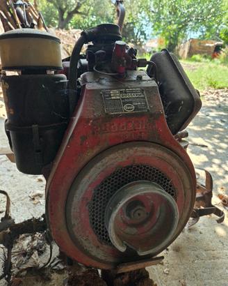 Motozappa Ruggerini HP 10