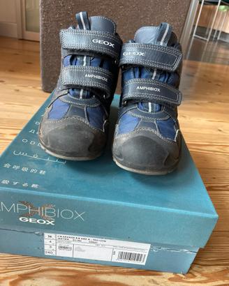 Scarpe Geox Amphibiox n.36 bambino