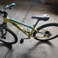Trek Mountain Bike