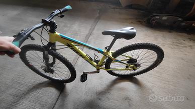 Trek Mountain Bike