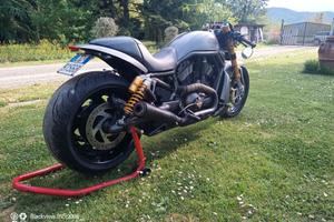 v rod caffe race