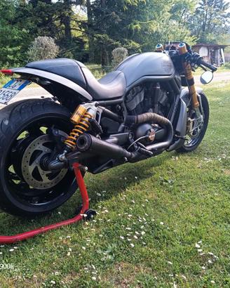 v rod caffe race