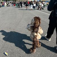 Vestito di carnevale