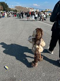 Vestito di carnevale