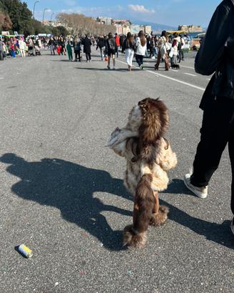 Vestito di carnevale
