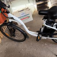 Bici elettrica