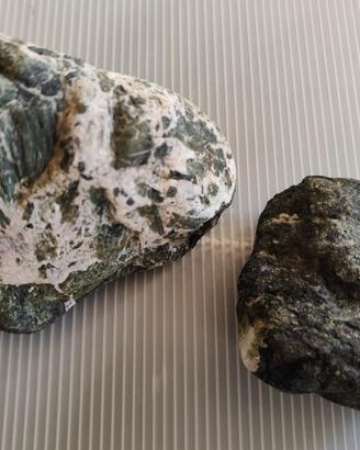 Due Rocce naturali per acquario o terrario
