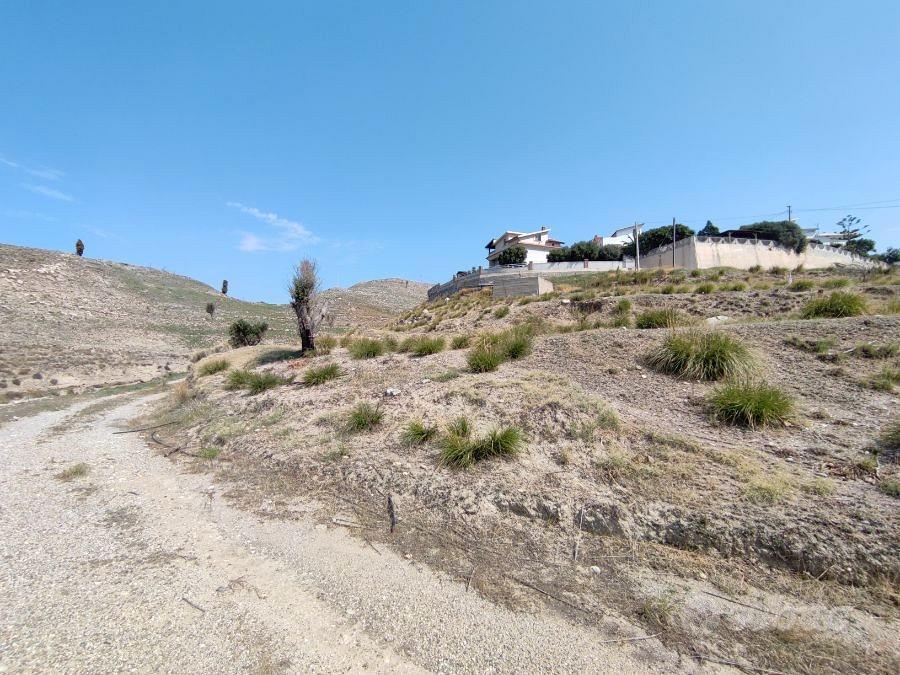 Terreno Agricolo Con Ruderi Lazzaro 13.000 Mq - Vista 5