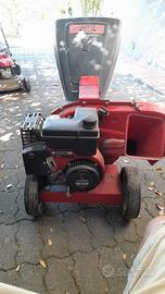 Biotrituratore Mtd benzina