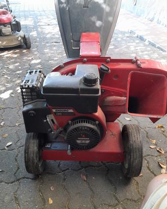 Biotrituratore Mtd benzina