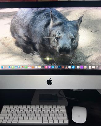IMac 21.5 late 2015 con avvio da SSD 1T esterno.