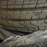 Gomme estive