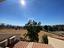 Immagine 29