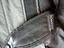 Immagine 5