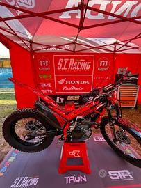 Montesa 4rt 301 RR 2025
