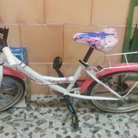 bicicletta 20