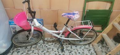 bicicletta 20