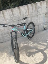 bicicletta Trek 