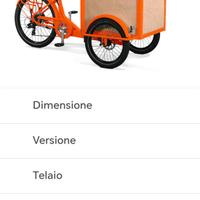 E-Bike Cargo Bike Elettrificata 