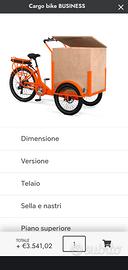 E-Bike Cargo Bike Elettrificata 