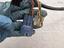 Immagine 15