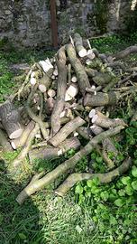 piu di +400kg legna salice a 50euro