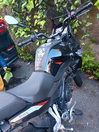 Benelli TRX 251