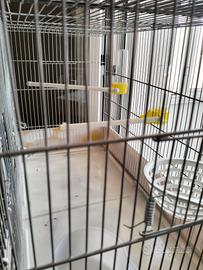 gabbia per uccelli 63x31 