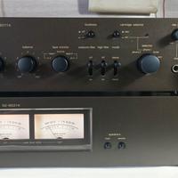 Technics SE 9021k/9011 k Pre - Finale Stereo Hifi