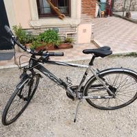 bici da uomo, citybike