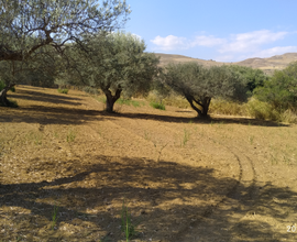 Terreno agricolo
